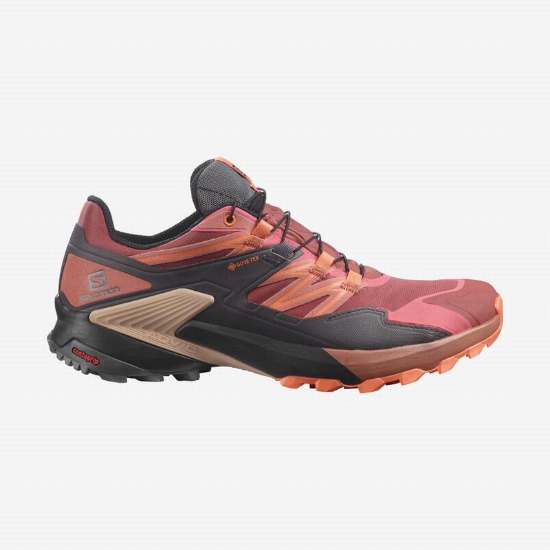 Chaussures De Trail Running Salomon Femme Rouge / Noir - Salomon WINGS SKY GORE-TEX - France (5792-U